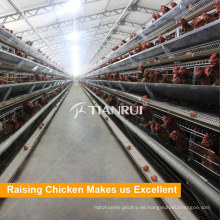 Tianrui Design Verzinktem Drahtgeflecht Ein Rahmen Chiken Cage